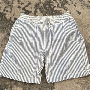JCREW CREWCUTS Blue and White Striped Boys swim Shorts SZ 14
